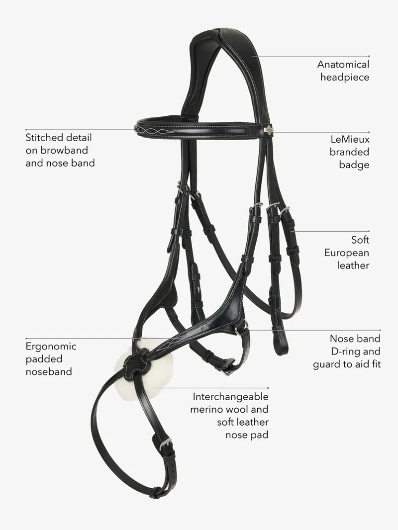 LeMieux Grackle Bridle - Black-4